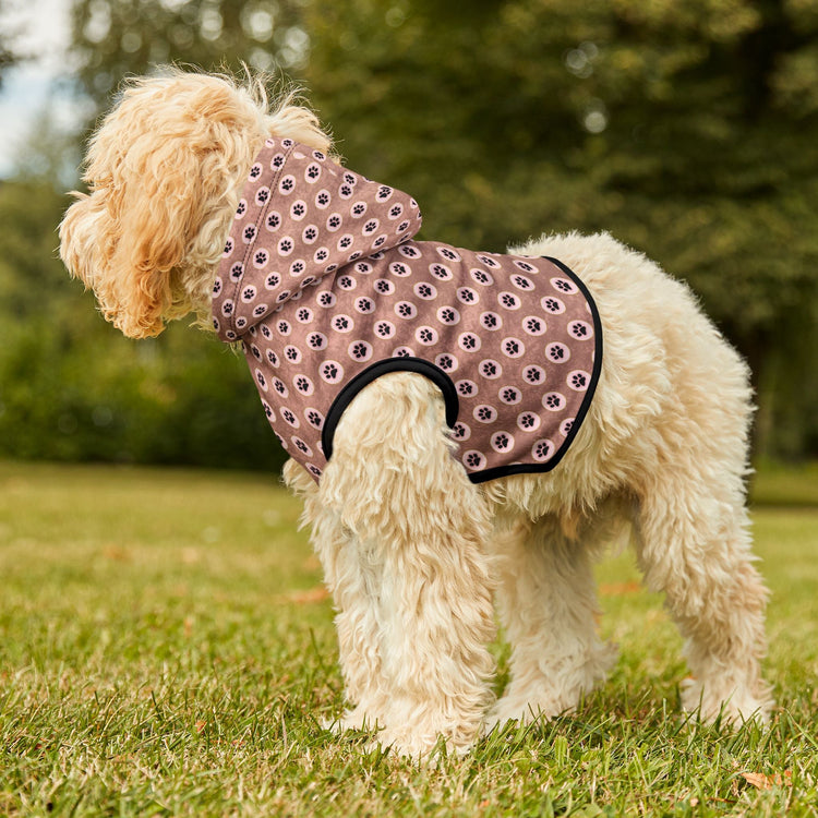 Pet Comfort & Style