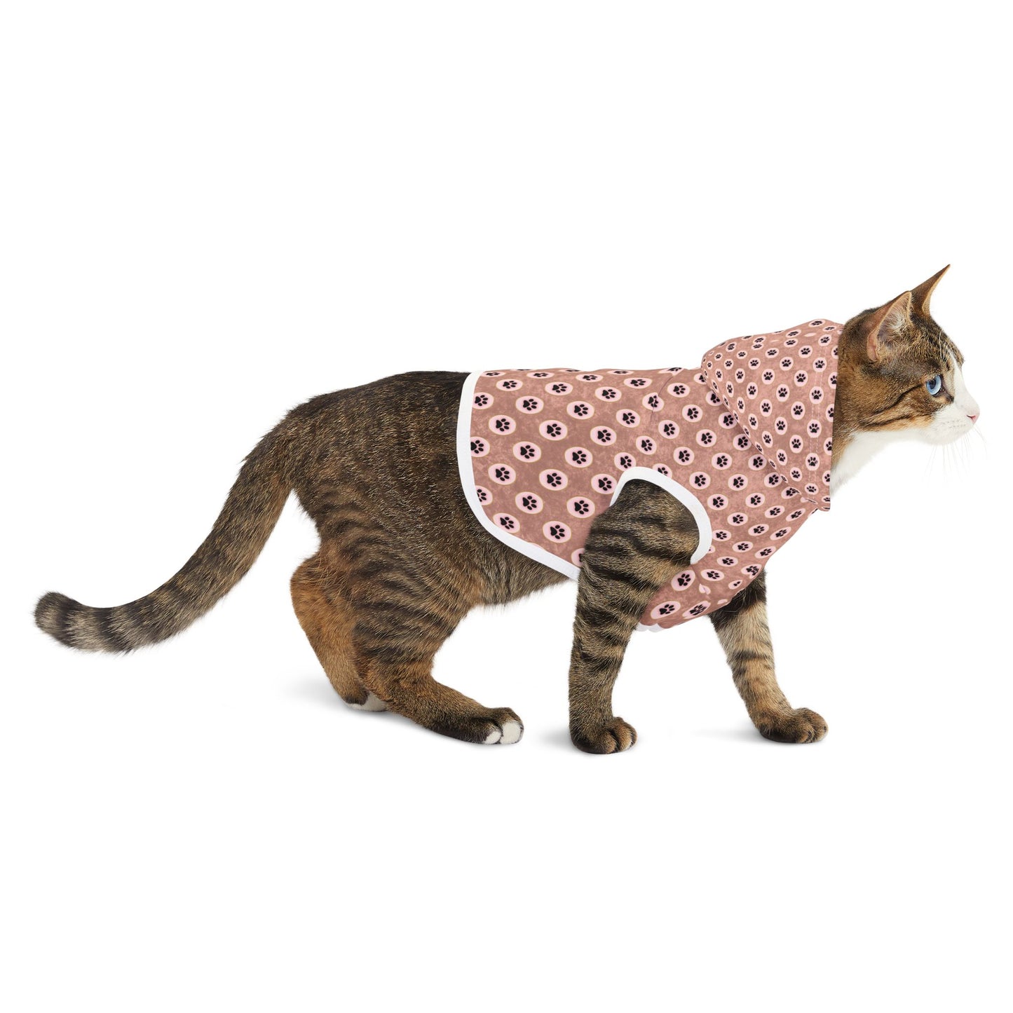 Pawsitively Stylish Pet Hoodie