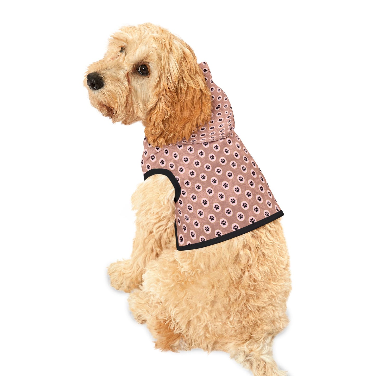 Pawsitively Stylish Pet Hoodie