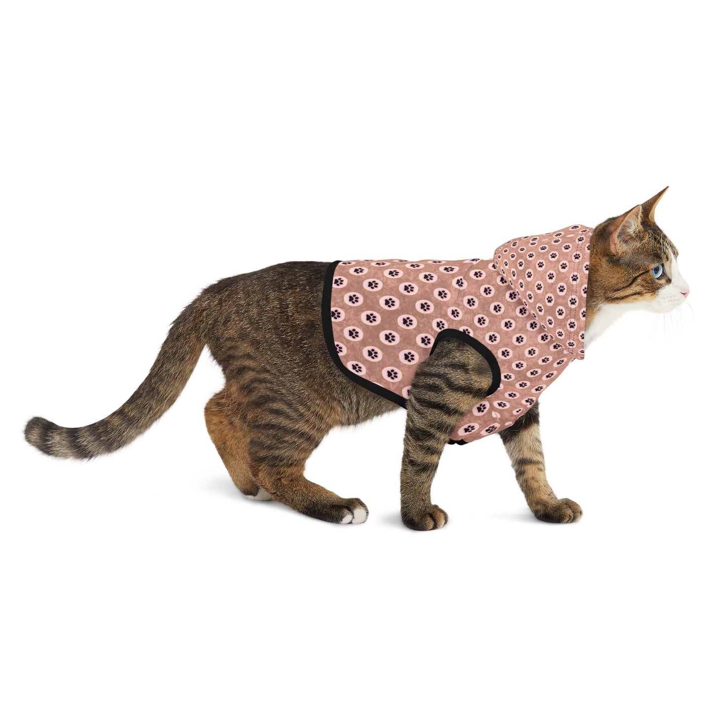 Pawsitively Stylish Pet Hoodie