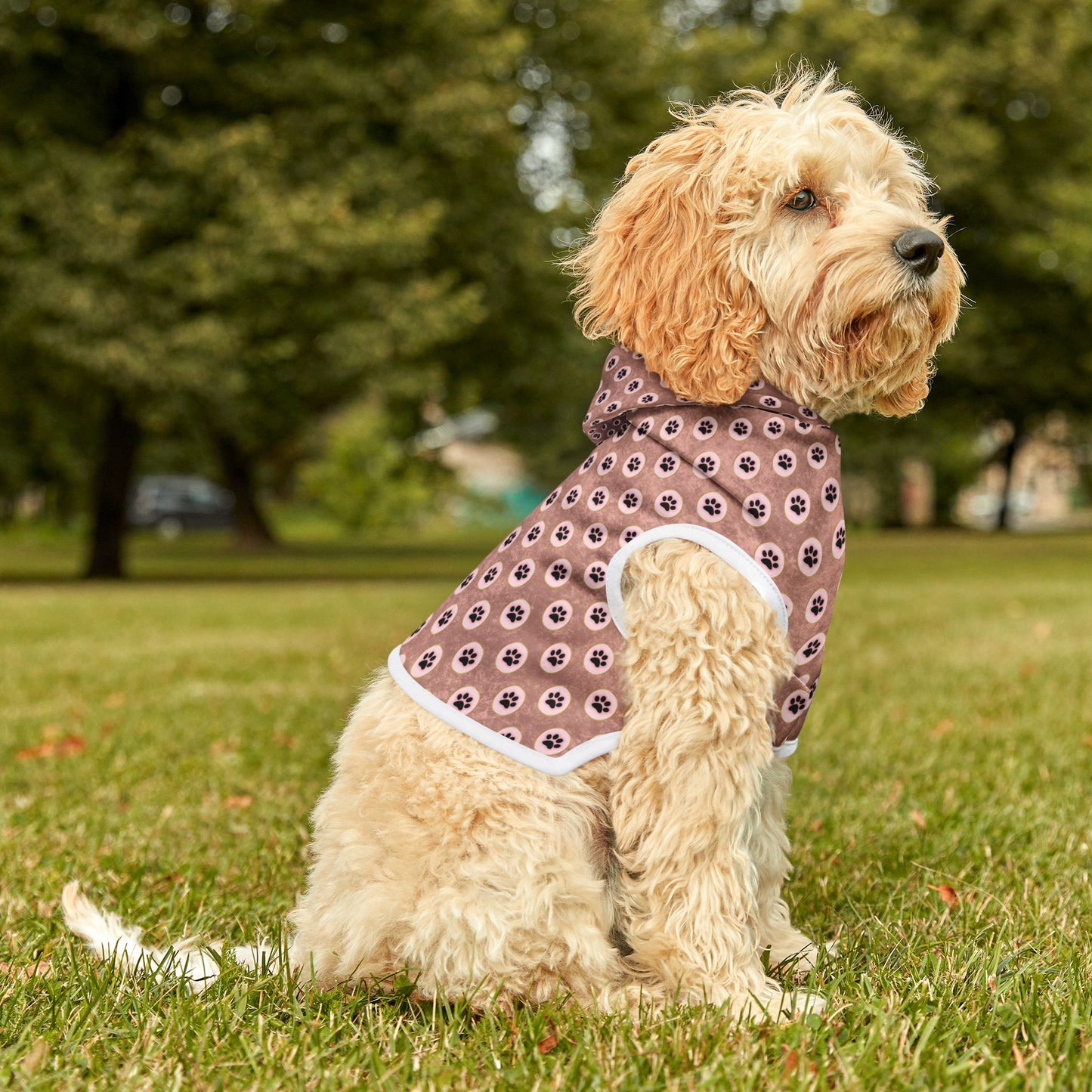 Pawsitively Stylish Pet Hoodie