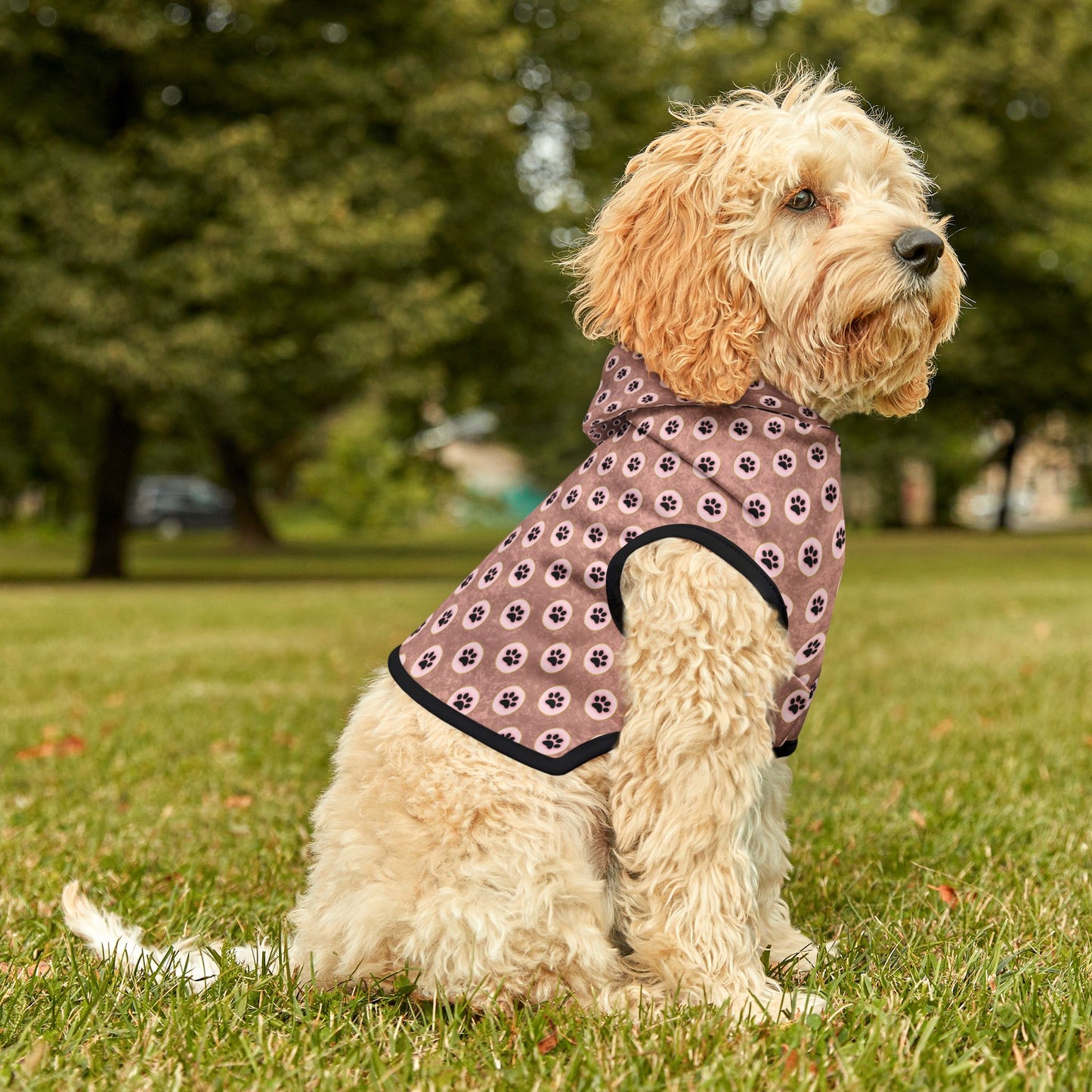 Pawsitively Stylish Pet Hoodie