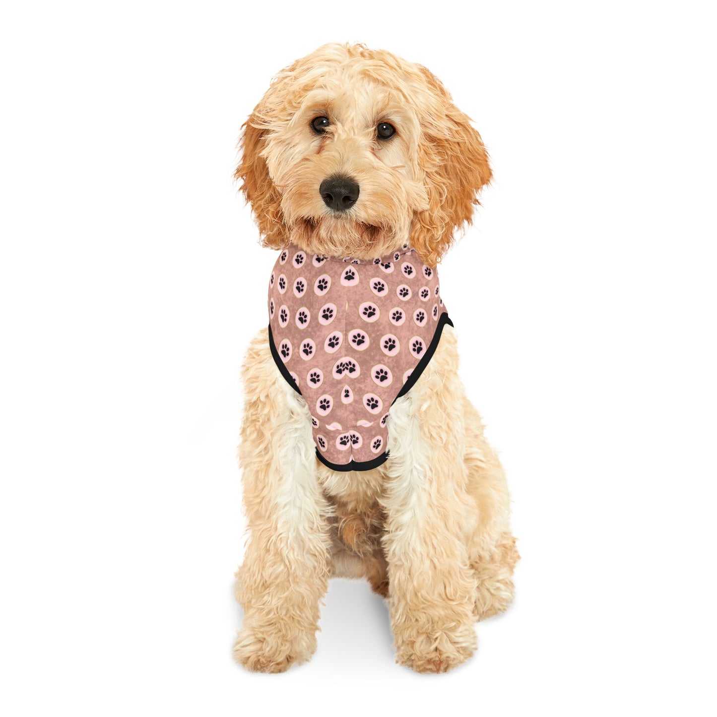 Pawsitively Stylish Pet Hoodie