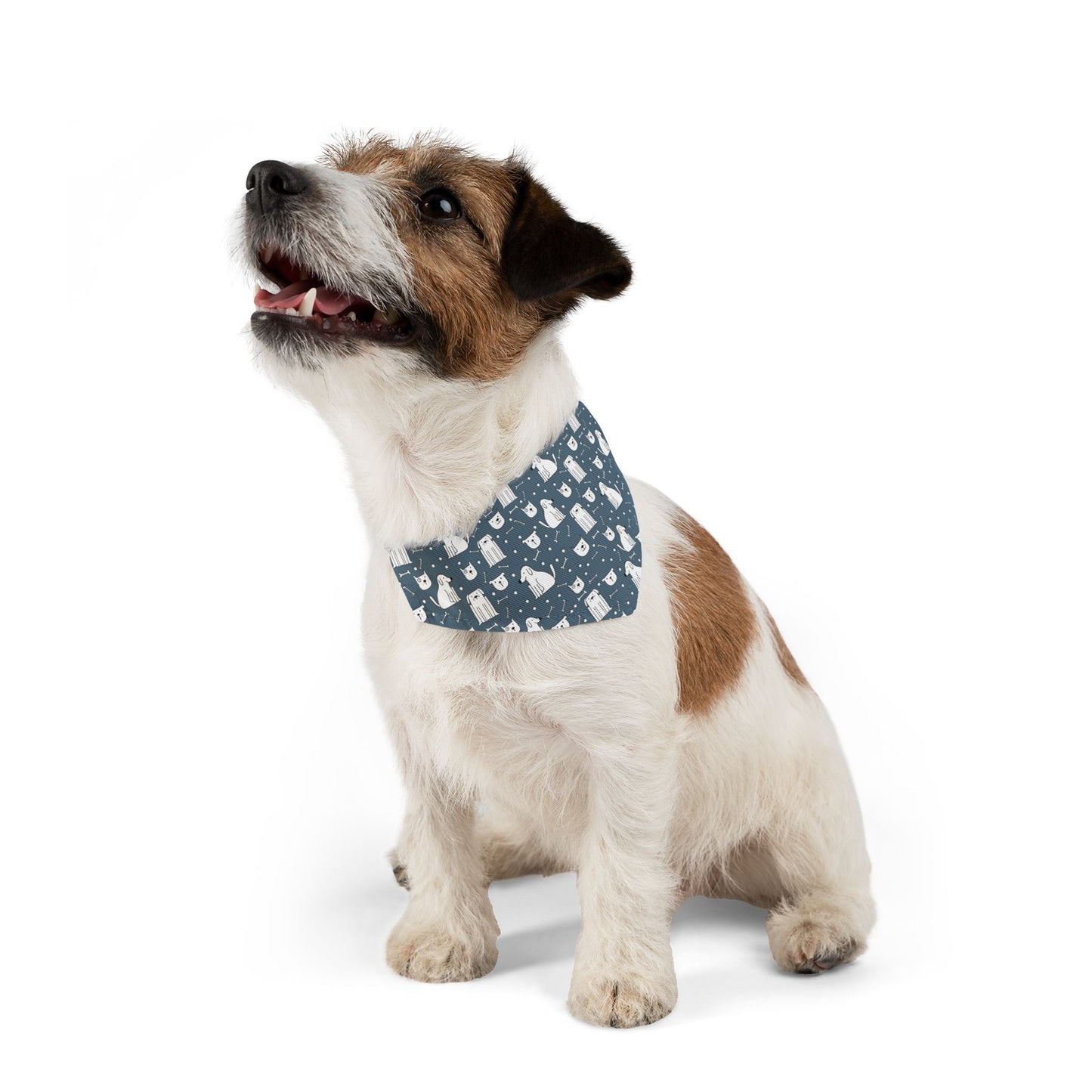 Pawesome Blue Dog Bandana Collar