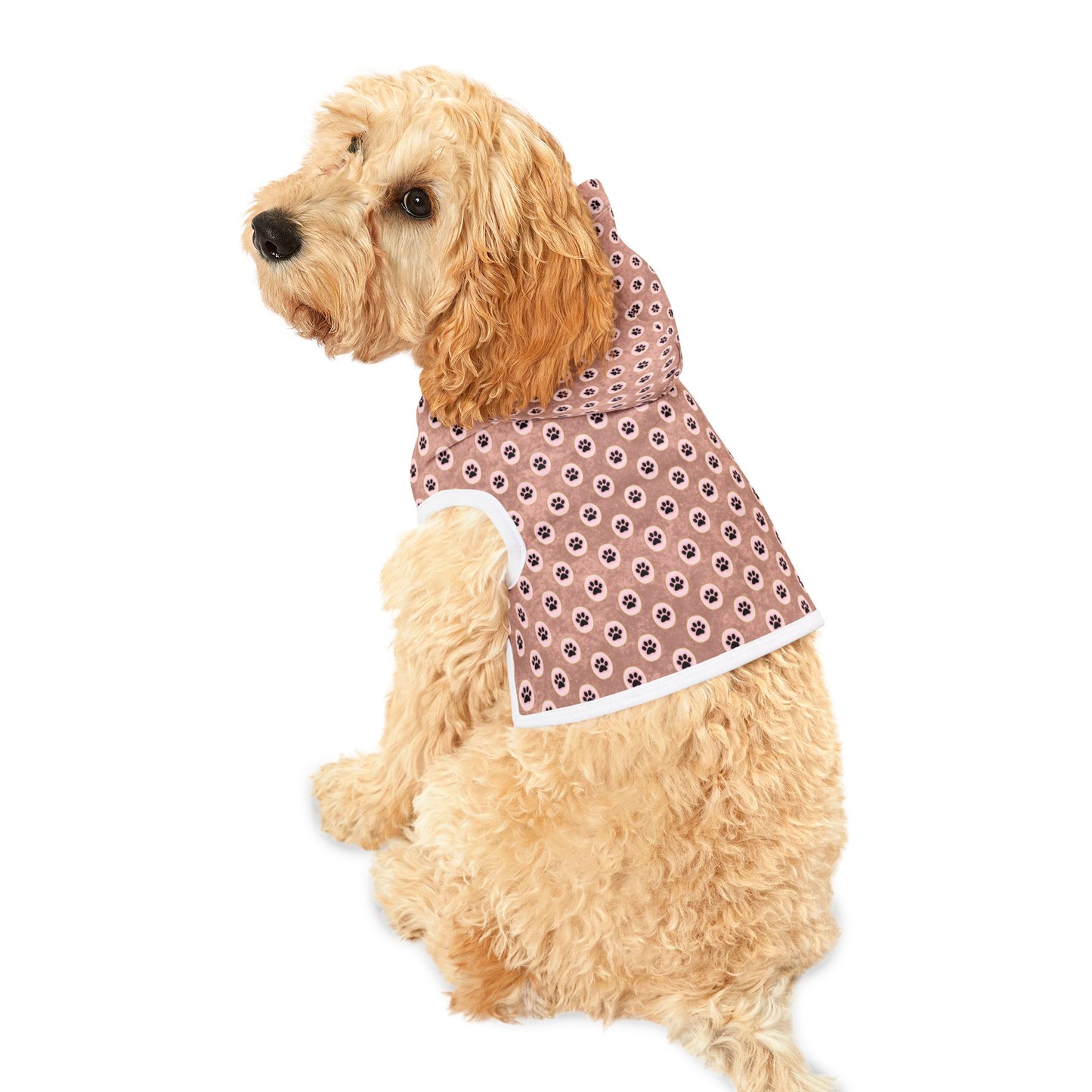 Pawsitively Stylish Pet Hoodie