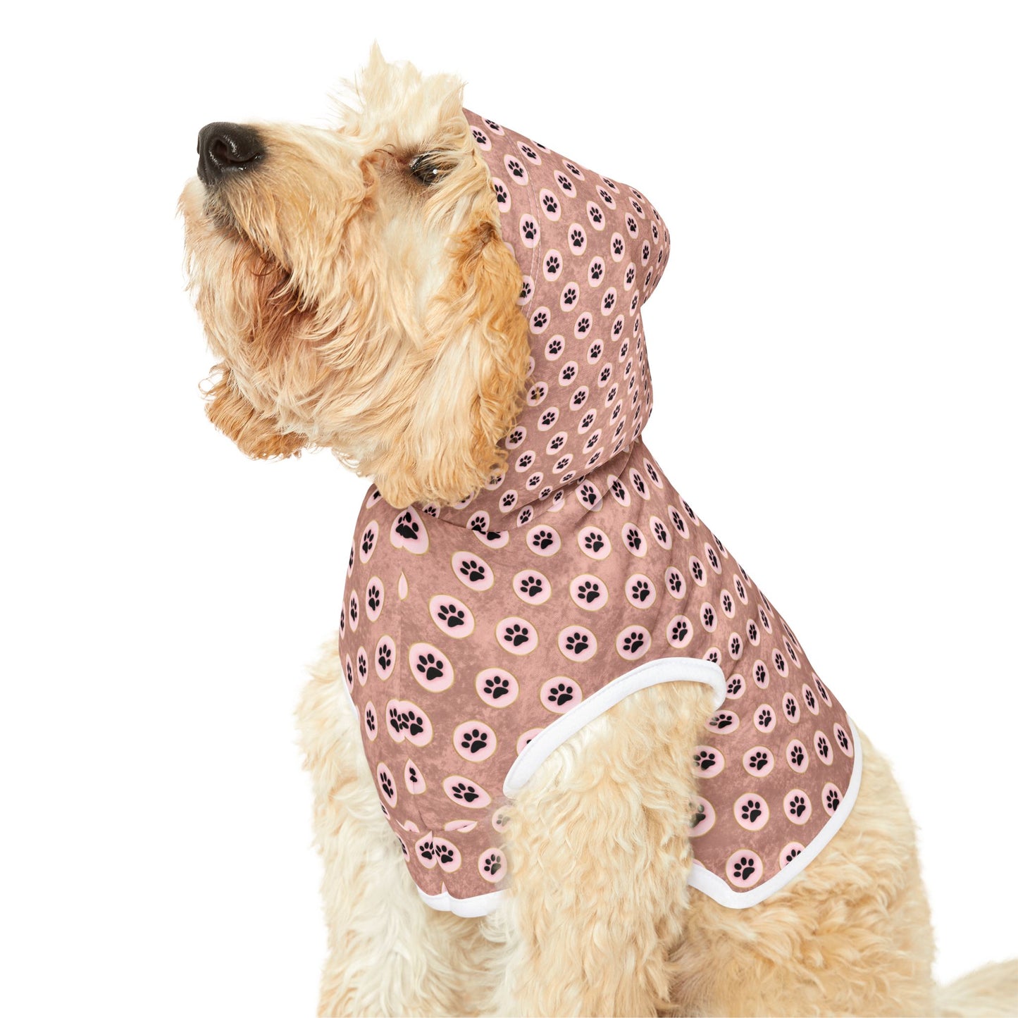 Pawsitively Stylish Pet Hoodie
