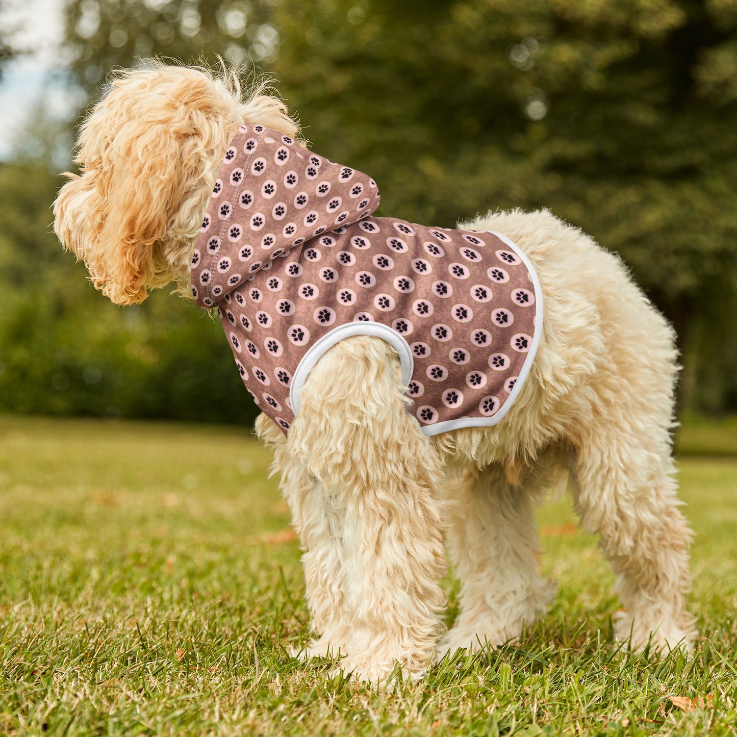 Pawsitively Stylish Pet Hoodie