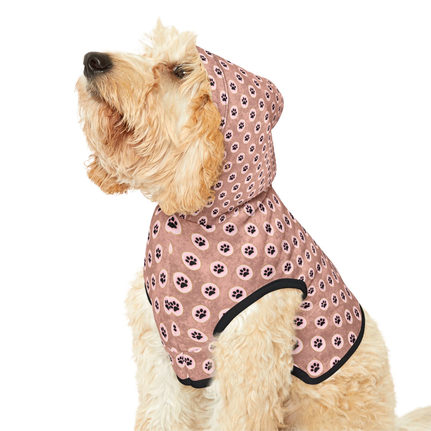 Pawsitively Stylish Pet Hoodie