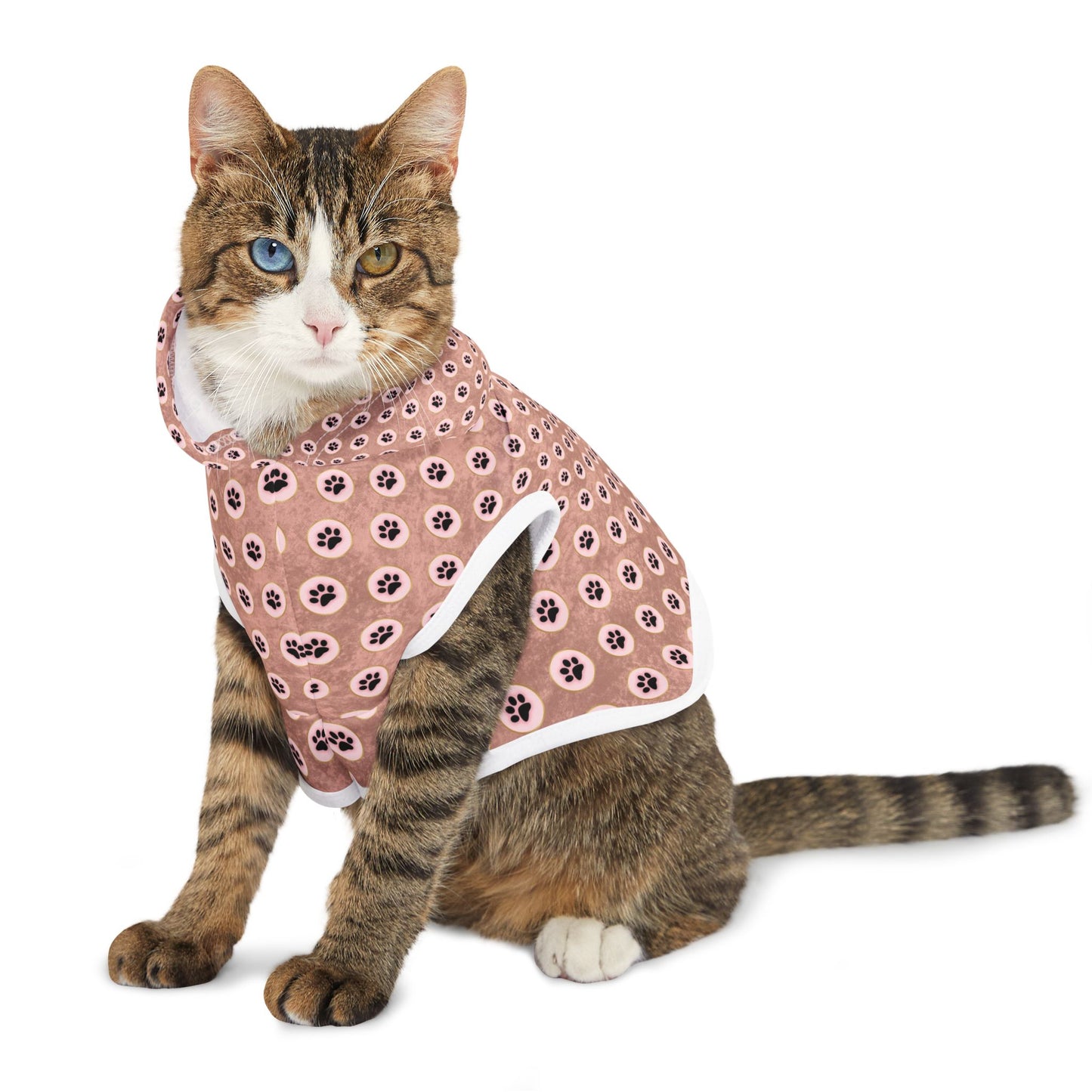 Pawsitively Stylish Pet Hoodie
