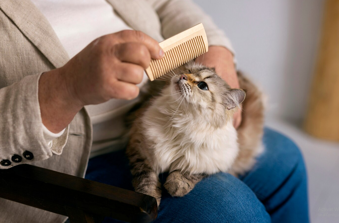 Understanding the Importance of Cat Hair Care