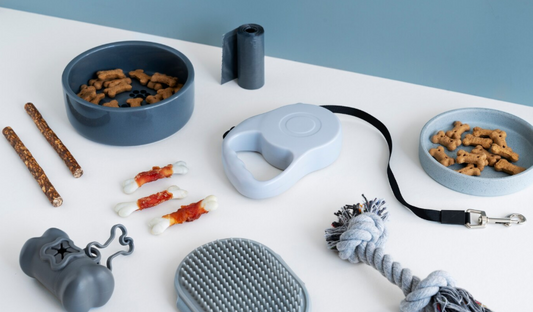 The Best Customizable Accessories to Pamper Your Pet