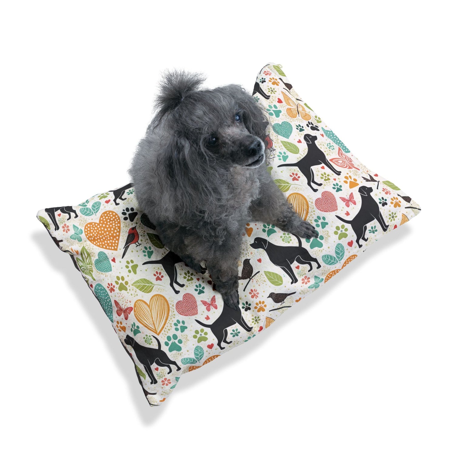 Cozy Pet Comforts