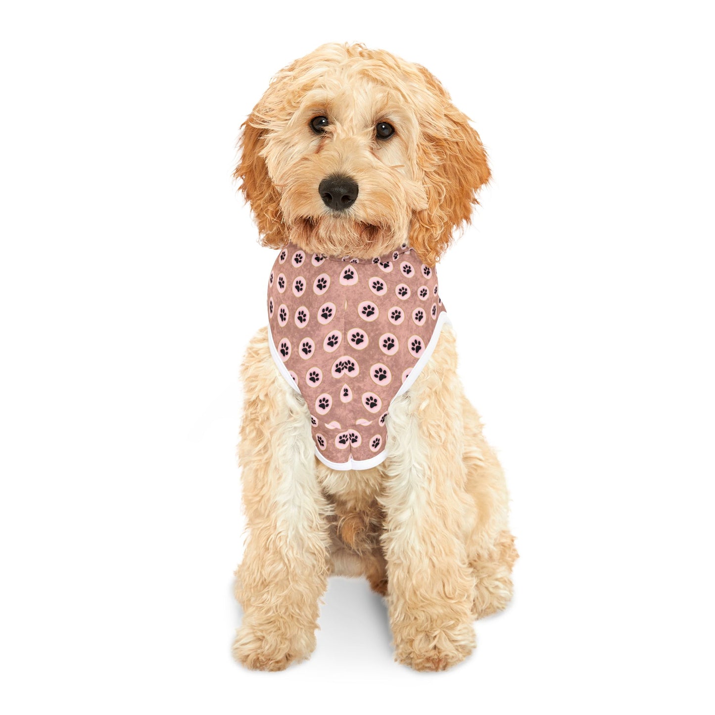 Sudadera con capucha para mascotas con un estilo muy atractivo